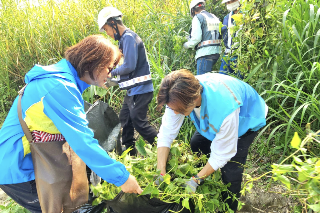 外來種大作戰     新北攜手社區大學     清除小花蔓澤蘭保護本土植物