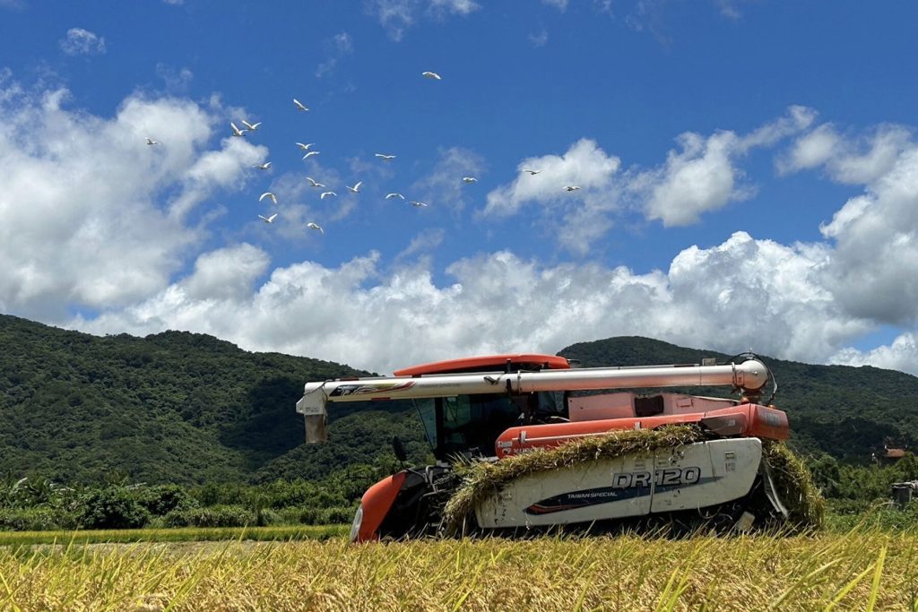 貢寮田寮洋「羽豐米豐收祭」登場     賞鳥、換書籤、吃爆米香