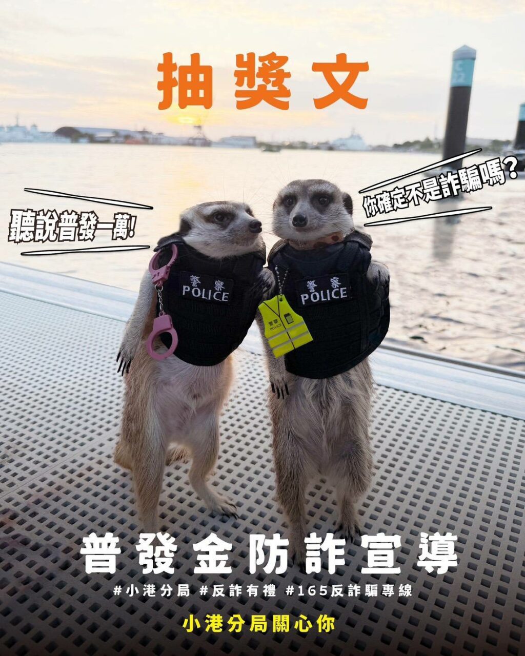 防詐有撇步！　網紅采瑄萌警聯手宣導普發金防騙