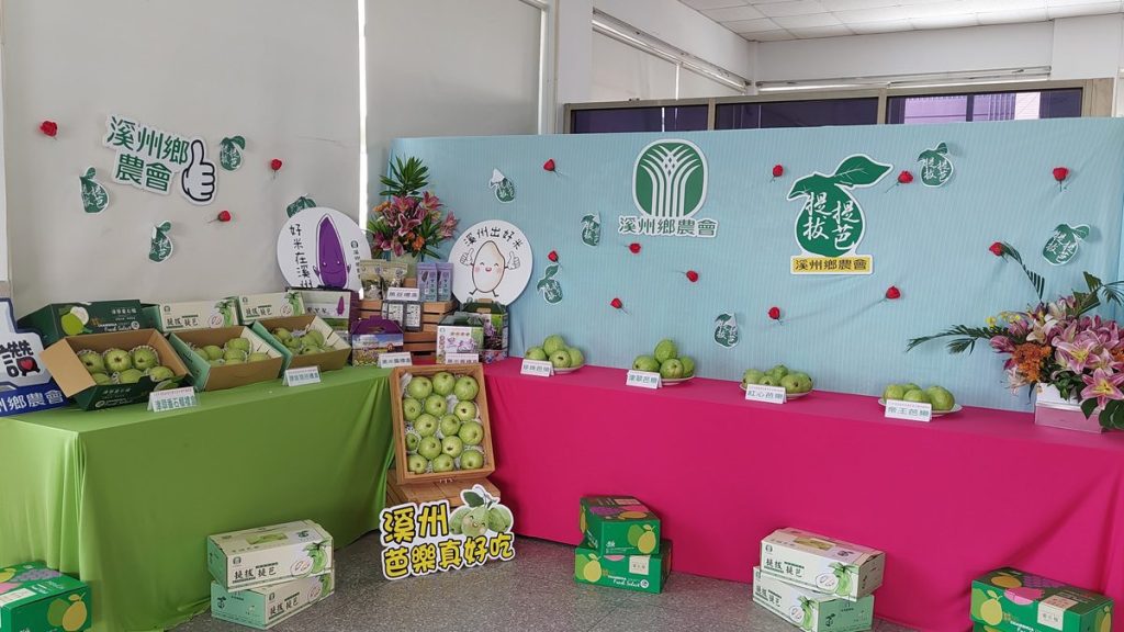 影音/114年彰化縣優質番石榴評鑑競賽  提升農民芭樂種植技術及增加收益