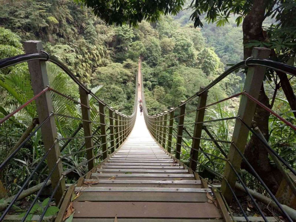 休園復建中的竹山天梯　將於明年3月再度開放