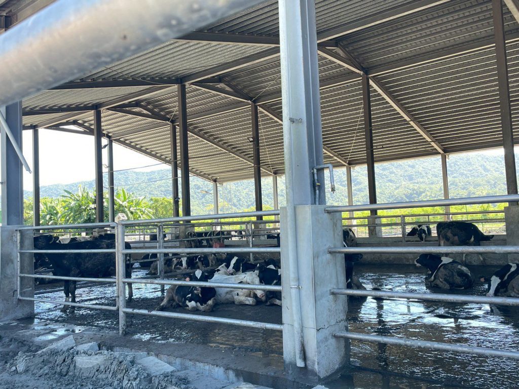 馬太鞍溪下游鳳林鎮的無聲災民  楊華美發動志工挺進援助