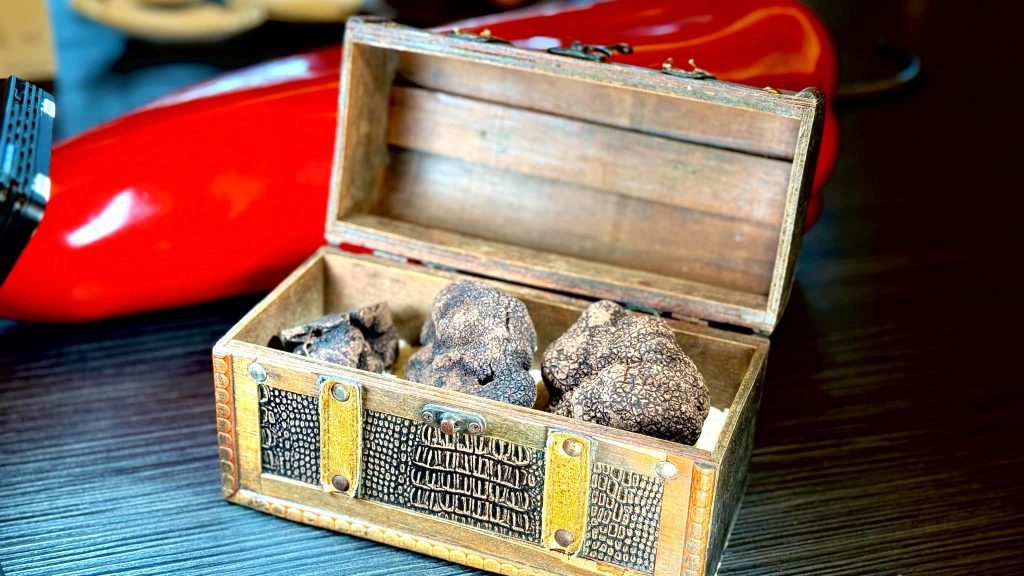 北投三二行館黑松露季開跑  晶泉丰旅花IN台北走春