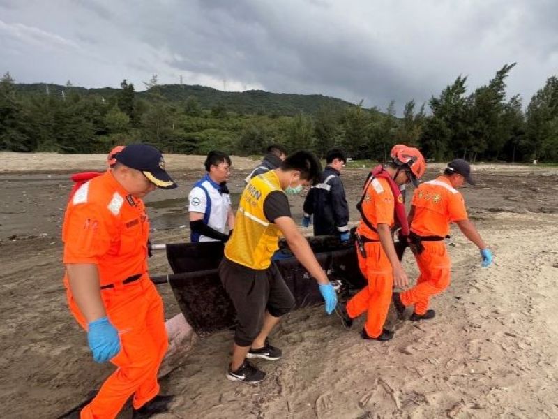海口沙灘驚現擱淺海豚　海巡同仁即刻投入搶救