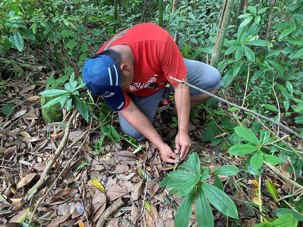 體驗阿里山鄒族部落文化　走進山林向大自然學習