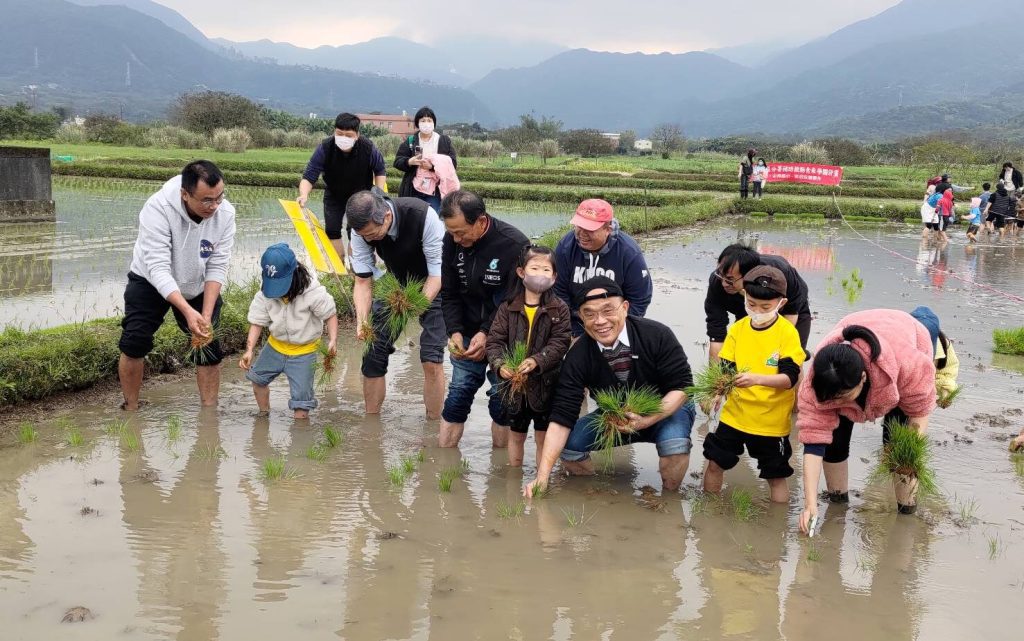 推動友善耕作  300人參與金山彩田春季插秧