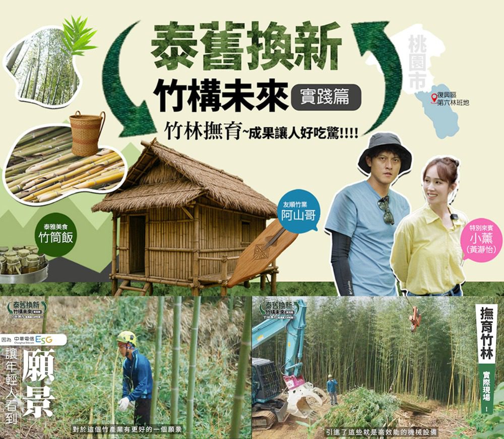 中華電信ESG「泰舊換新 竹構未來」　 助青年返鄉撫育竹林固碳愛地球