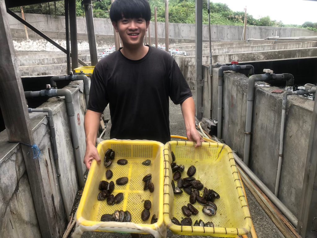 貢寮鮑最肥美　新北澳底漁港11/15、16邀您「貢饗鮮味」