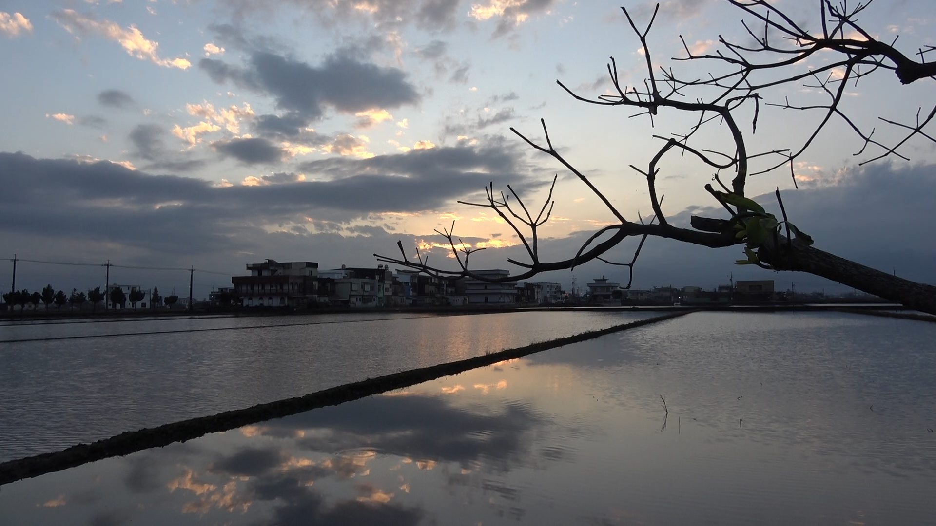 影音/強烈大陸冷氣團影響  全台冷吱吱