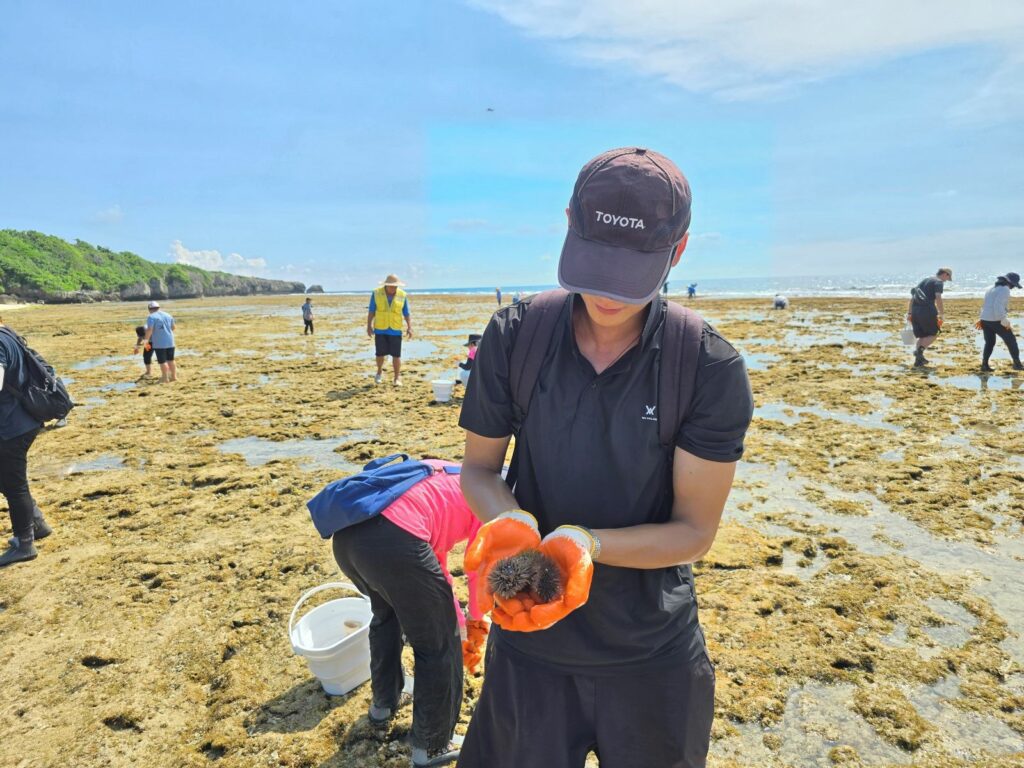 屏東縣政府啟動海膽移除行動　逆轉海洋生態危機