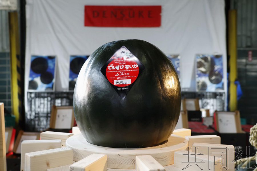 北海道黑皮「田助西瓜」首拍最高價70萬日元約新台幣15萬元
