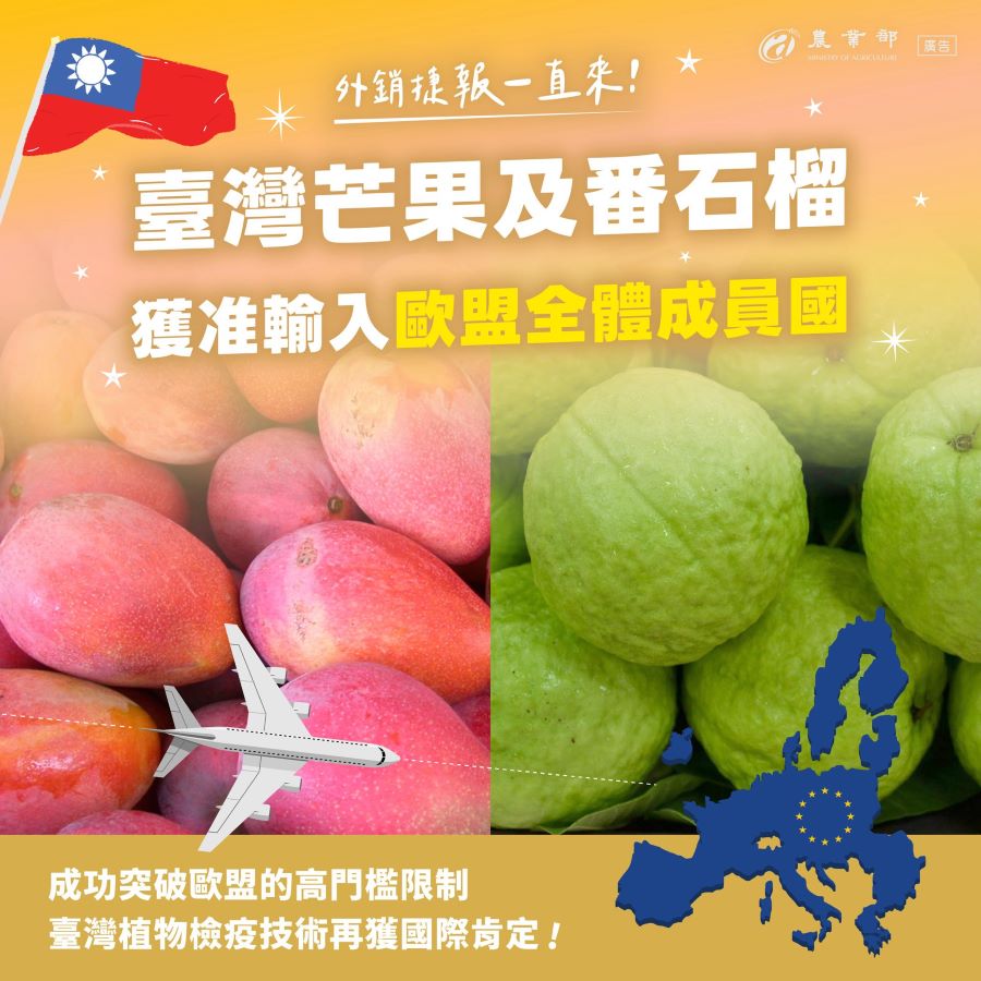 農產外銷好消息！ 我國芒果及番石榴獲准輸入歐盟