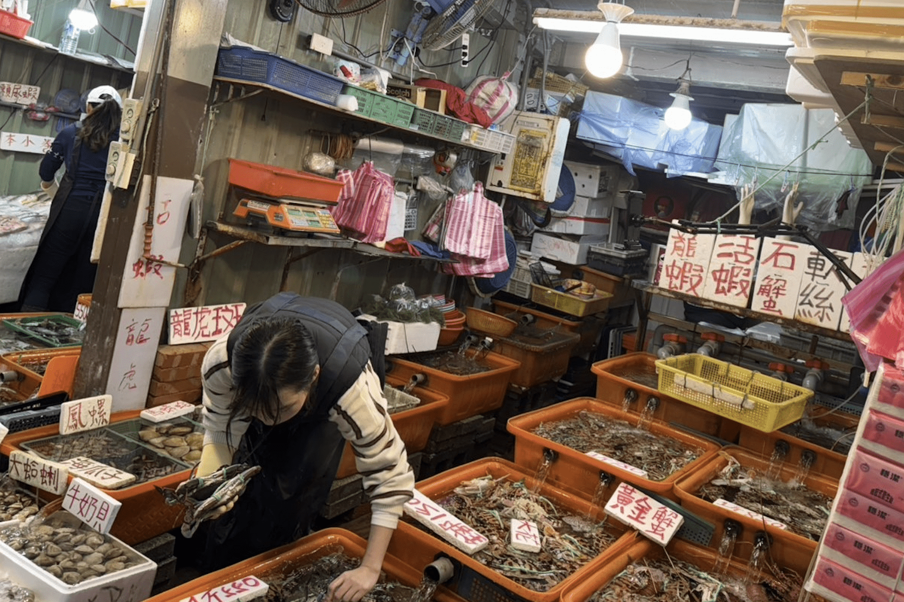 春節走春必去     龜吼漁港市集送好禮     海鮮大餐等你來拿