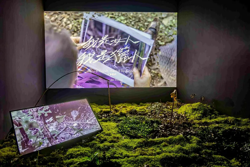 綠美圖試營運展現藝術新能量 中美館開館大展