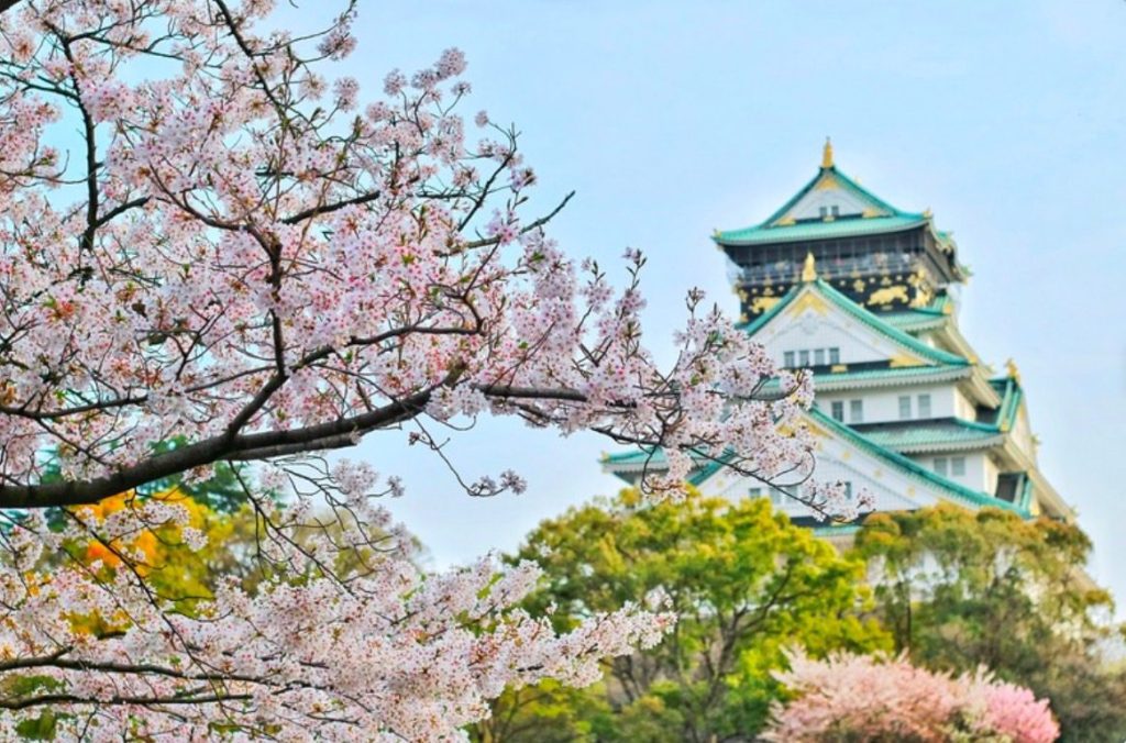 前進日本市場　財茂董事長周訓財：經濟穩定是最大優勢