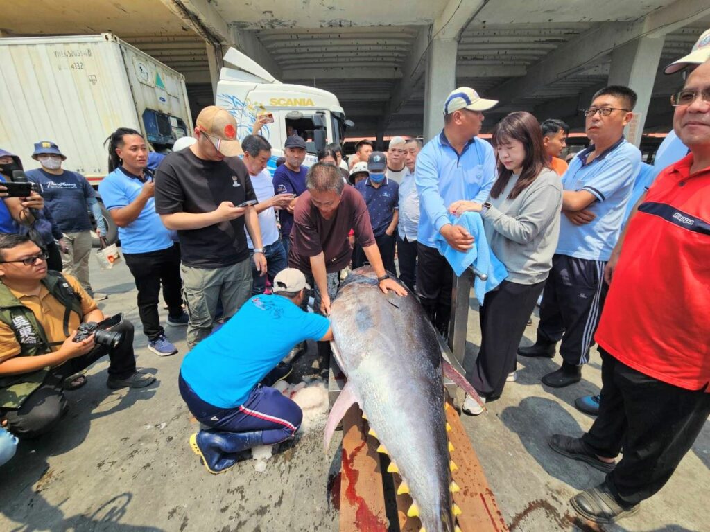 2025屏東第一鮪報到! 　「茂豐祥號」返港舉辦拍賣會