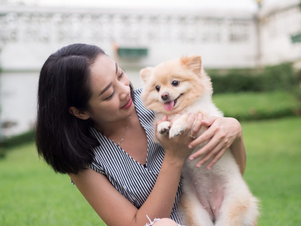 妳的貓好胖！飼主在路上聽到哪些話會內心糾結?