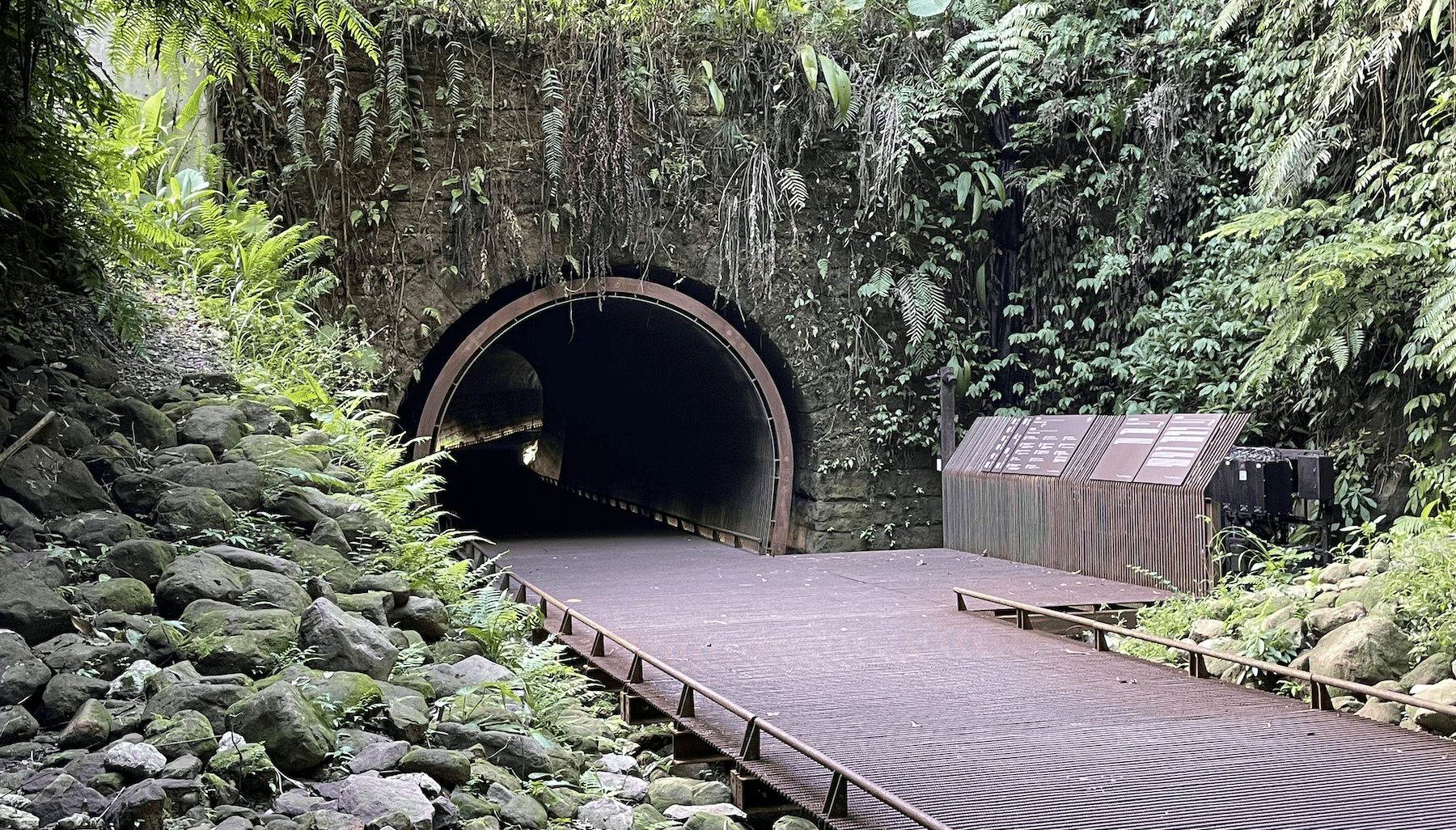 鐵路隧道變身生態寶庫　三貂嶺導覽體驗帶你探索自然