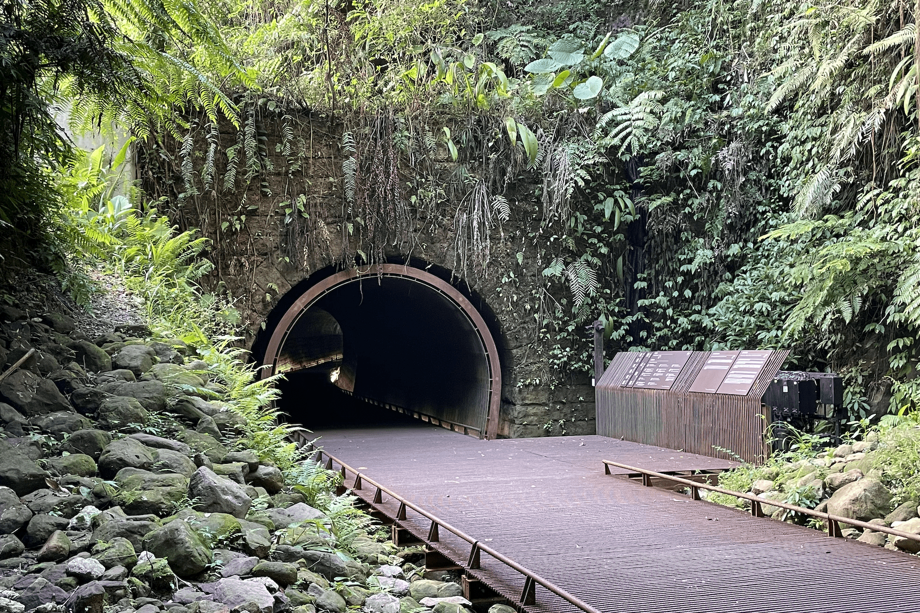 鐵路隧道變身生態寶庫     三貂嶺導覽體驗帶你探索自然