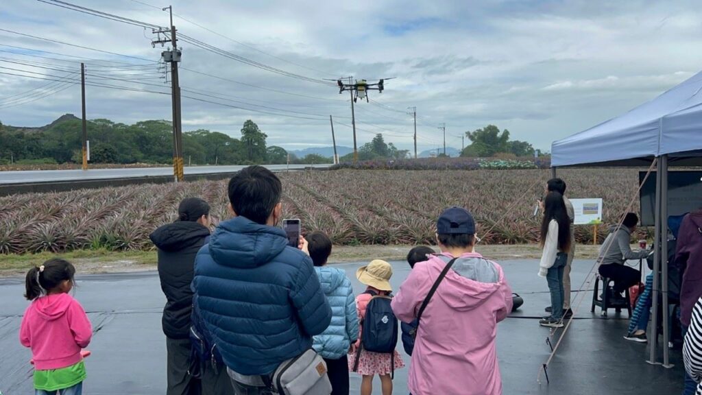上帝視角俯瞰食蛇龜彩帽地景藝術   龜行沿山系列活動185雙層巴士北線