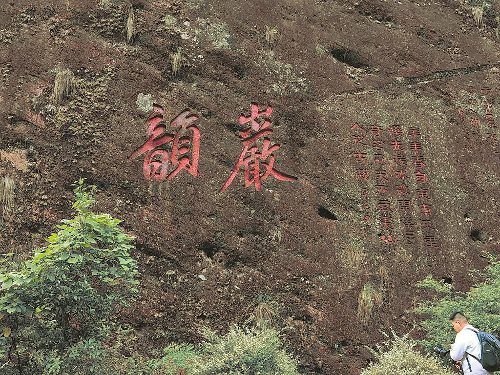 武夷山大紅袍與台灣烏龍茶 同根同源