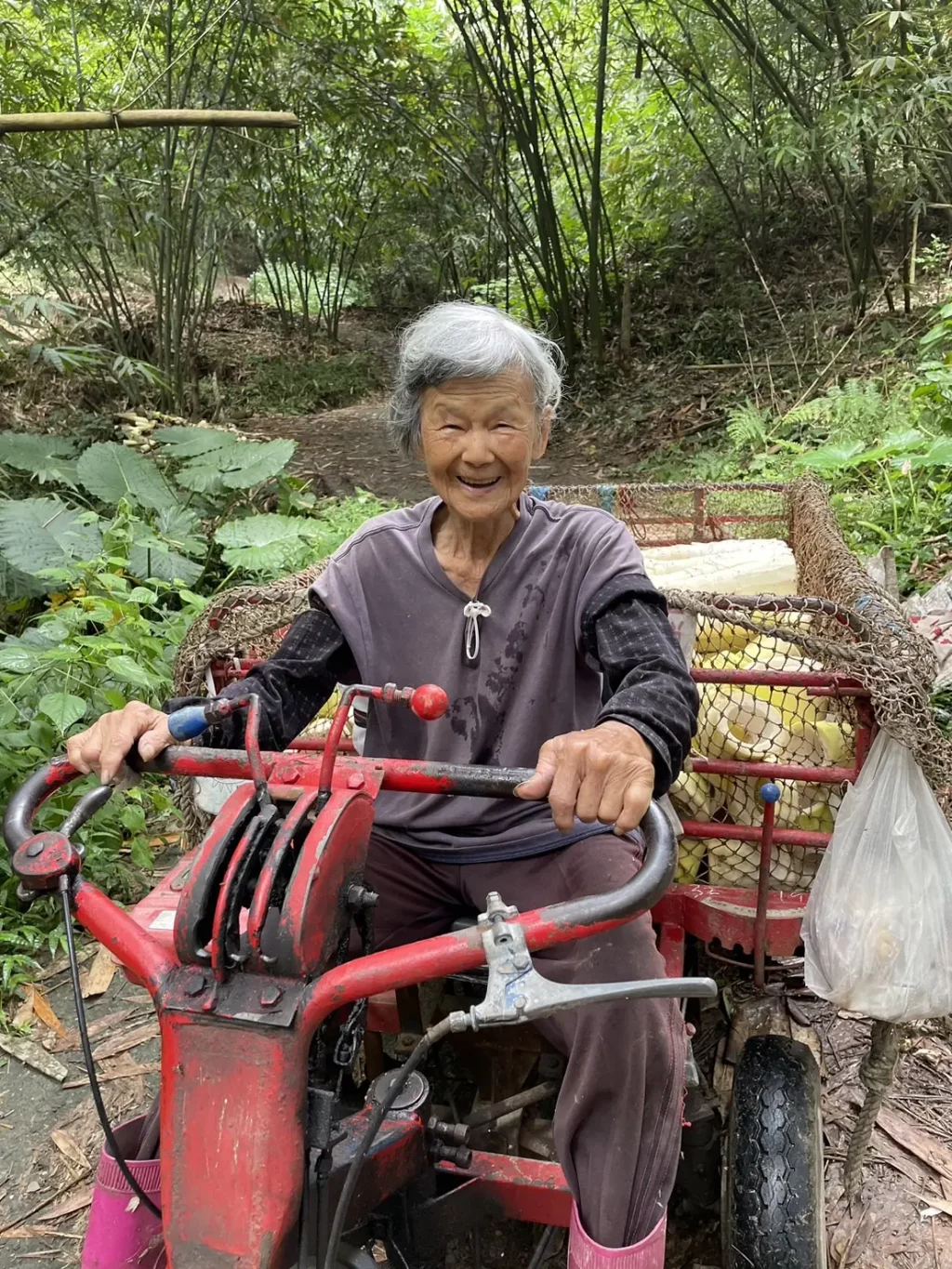 全村最年長筍農！雲林91歲曾阿嬤的「超狂」日常：凌晨開搬運車上山採筍