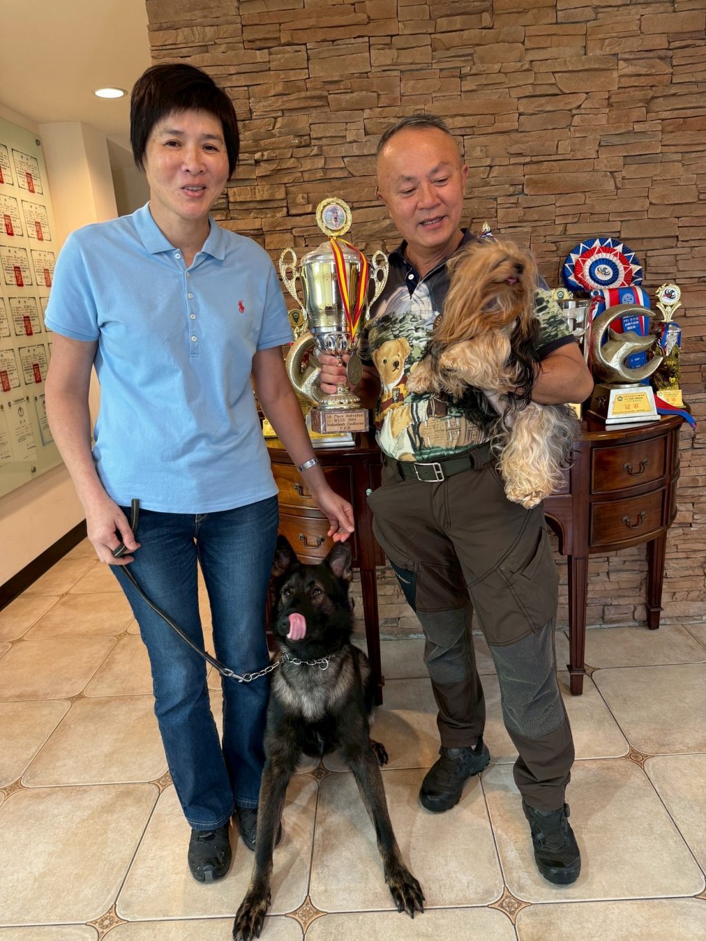 台灣出生狼犬Dino進軍世界盃　西北訓犬學苑：要做就做最好的