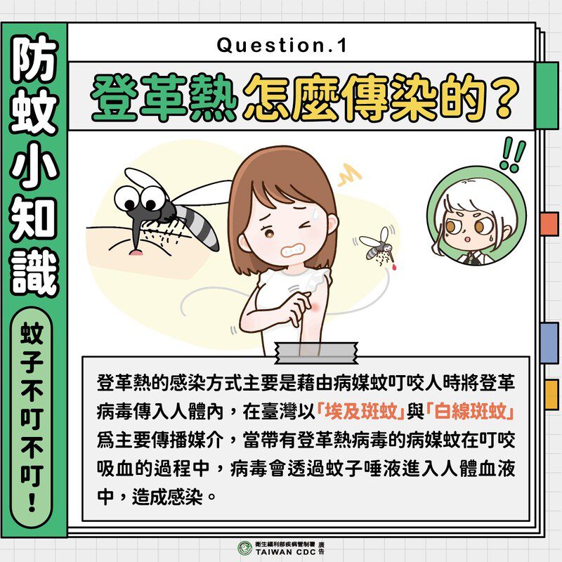 北部發生登革熱本土群聚疫情  高市升級應變措施 落實TOCC警示通報並加速清除積水容器