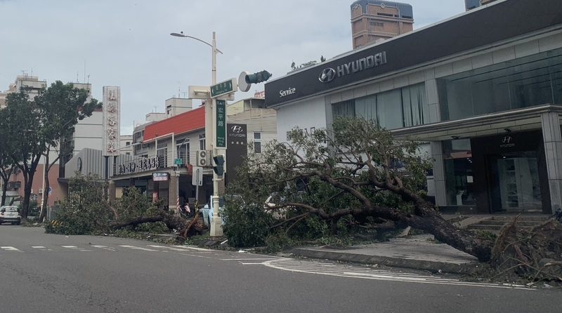 颱風山陀兒襲擊重創高雄 災情通報 1036件  超過1800棵路樹倒塌　