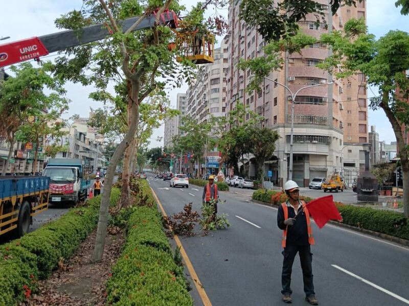 颱風來襲！高市公園處強化護樹防颱準備