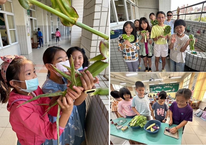 新上國小師生深耕食農教育 榮獲第一屆高雄市食農教育傑出貢獻獎