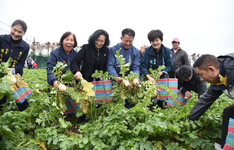 從田間到餐桌，苗栗後龍蘿蔔節傳遞農業溫度