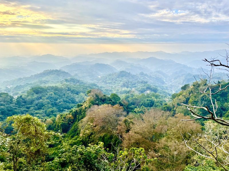 台中大坑2號步道「彩色森林」美景開箱！春遊減脂好去處
