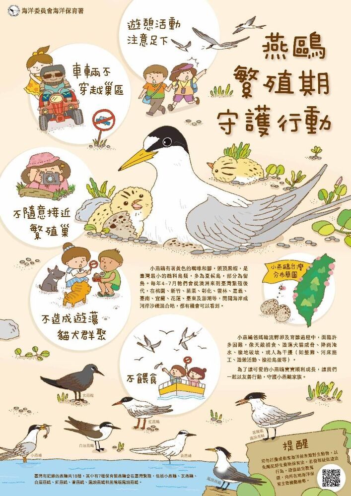 世界生物多樣性日！海保署啟動「海龜追蹤＋小燕鷗守護」雙行動