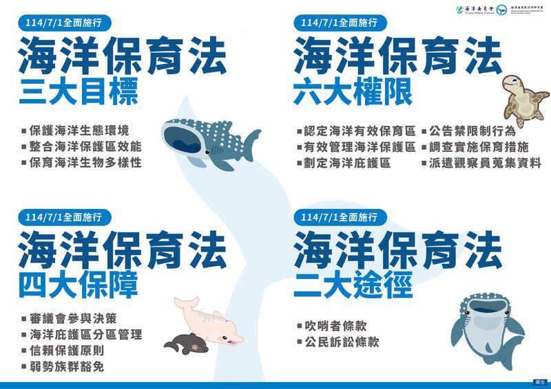 《海洋保育法》正式上路！管碧玲三箭齊發 守護藍色臺灣