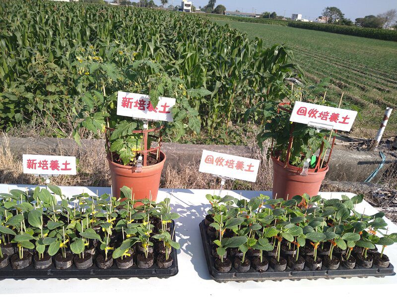 「廢棄變黃金！臺南農改場推動循環農業　禽畜糞與培養土再利用助攻永續」