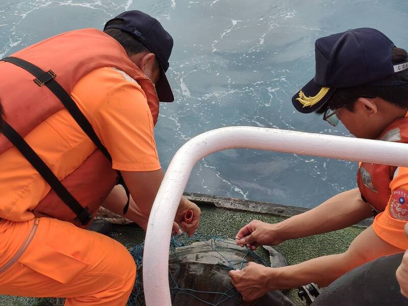 港灣新聞網 / 保育類海龜險喪命！高雄海巡隊即刻出動成功施救