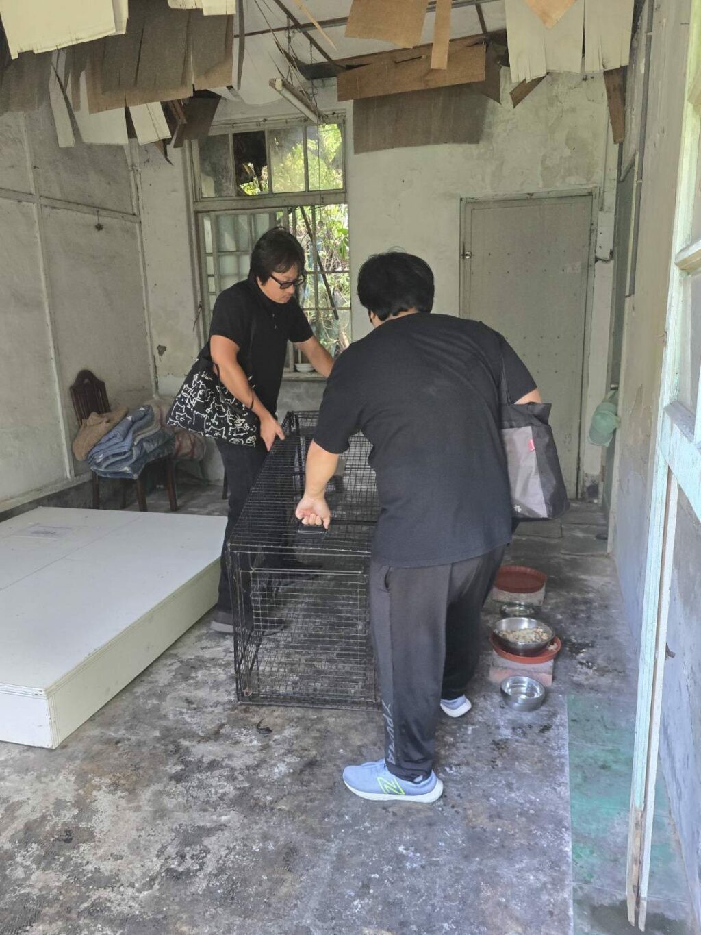 暖暖托嬰中心周邊流浪犬聚集　基市府該呼籲民眾勿餵養