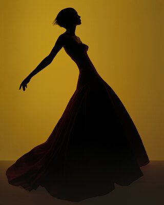 UBS House of Craft x Dior亞洲首展於新加坡盛大亮相