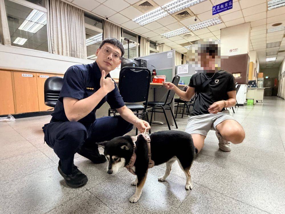 迷路黑柴慌慌張張　警民協力助重返主人懷抱