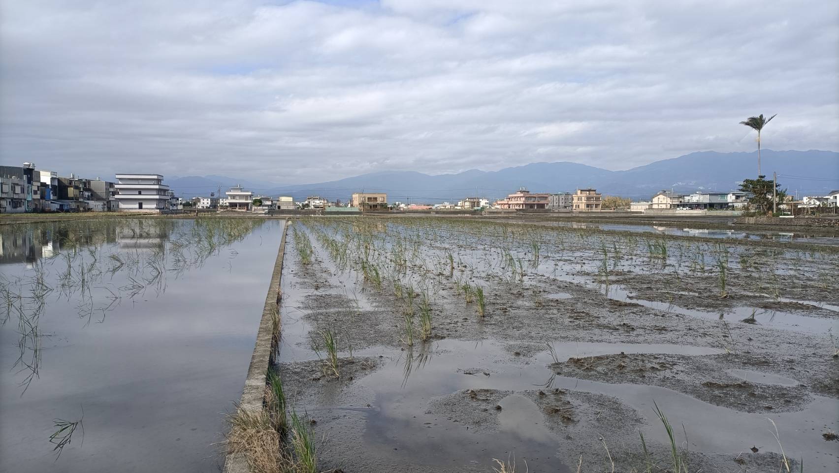 影音／冷氣團強襲 清晨「3縣市」低溫特報跌破10度