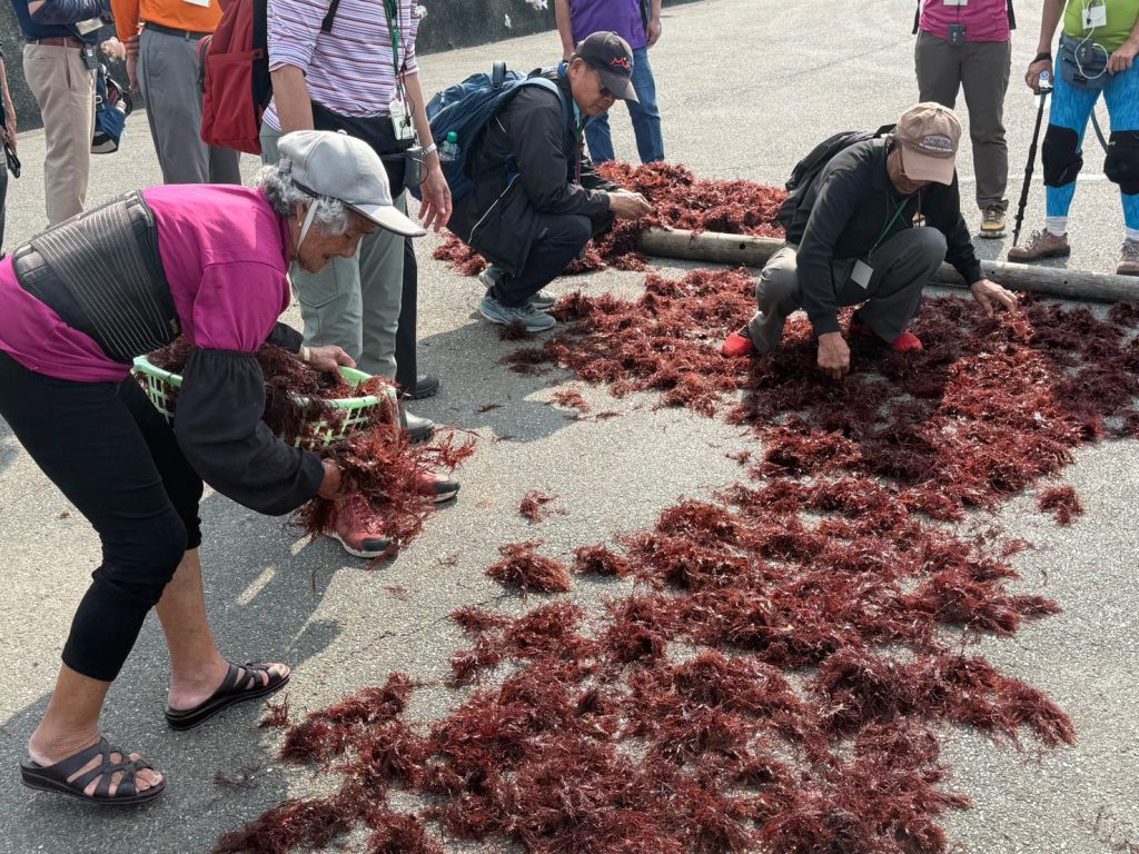 生態旅遊深入走訪南雅、鼻頭   旅行同業踩線首發團回應熱烈