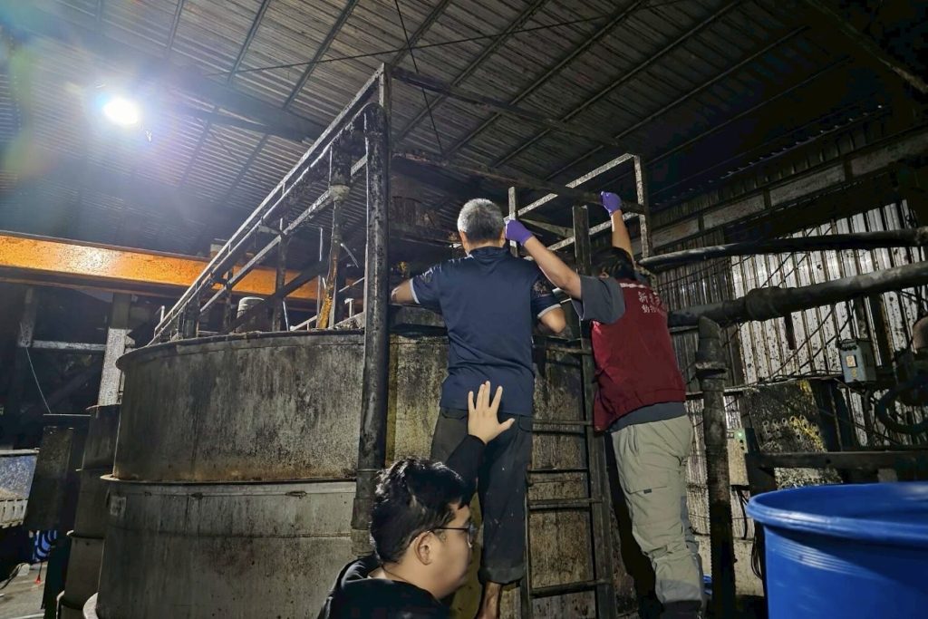 新北養豬場遭重罰百萬     違規餵食廚餘     補助全數取消得不償失