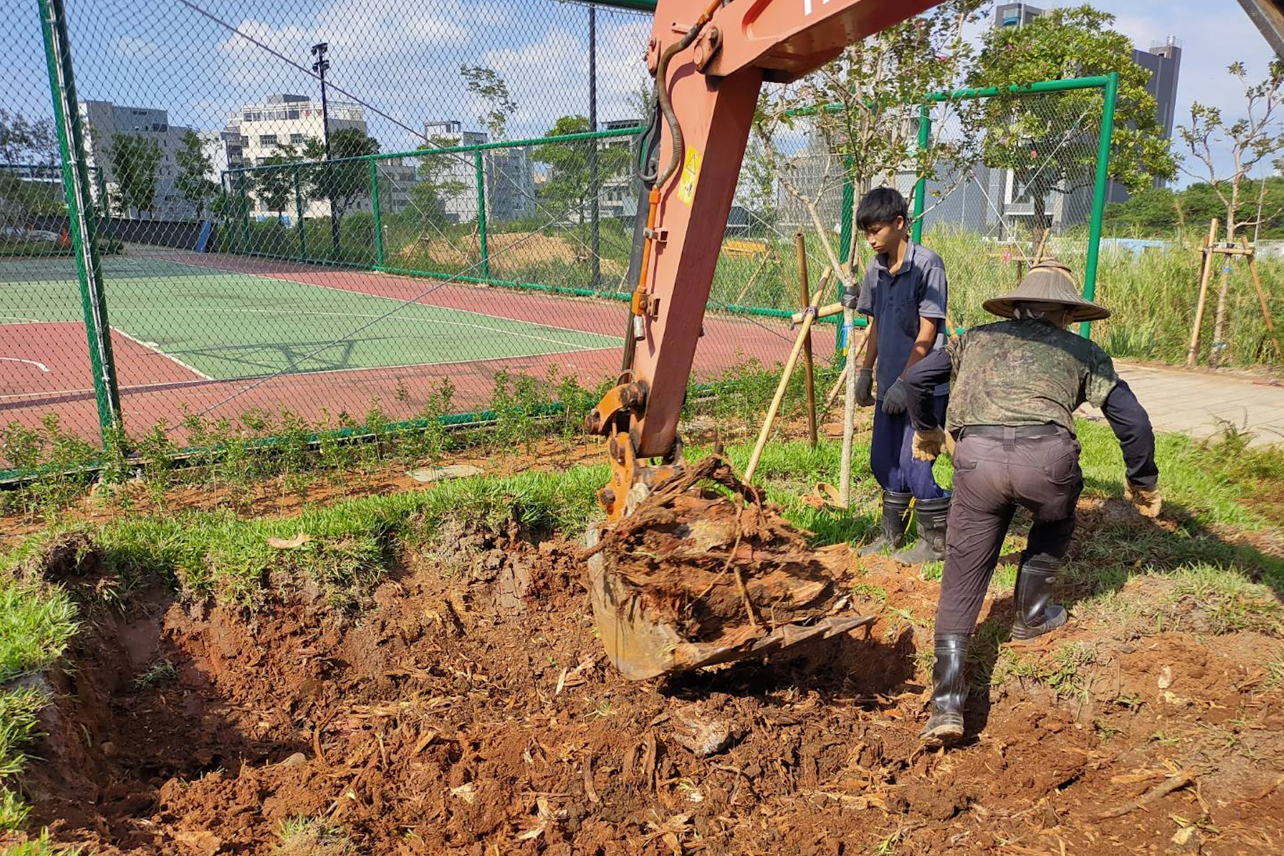 新北市綠意守護者     樹木保護委員會召開     推動樹木遷植與保護計畫