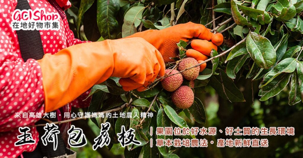 端午玉荷包限量開賣！　美夢成真GCI在地好物市集呼籲支持友善農業，共享安心好果實