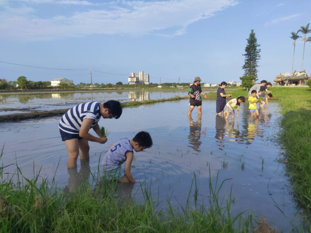 樂趣五結農家樂   體驗農村割稻飯