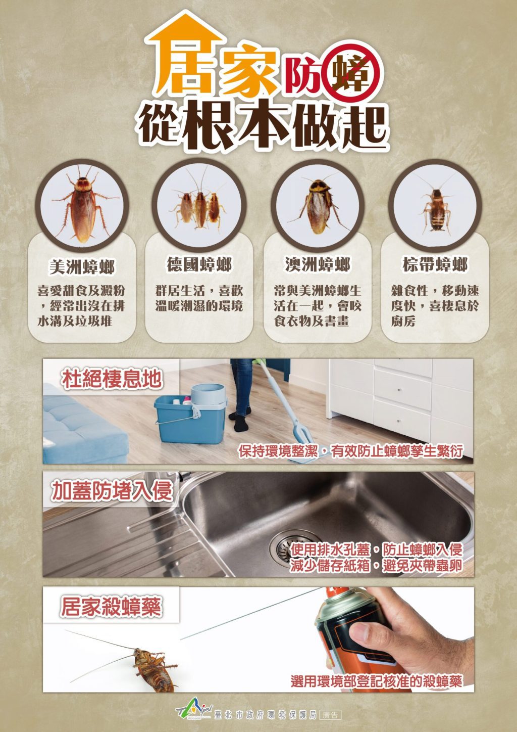 別讓「小強」太猖狂！　防蟑三寶守護居家健康