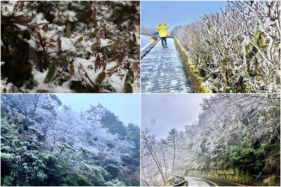 持續低溫白了山頭　太平山迎來今年第一場冰霰