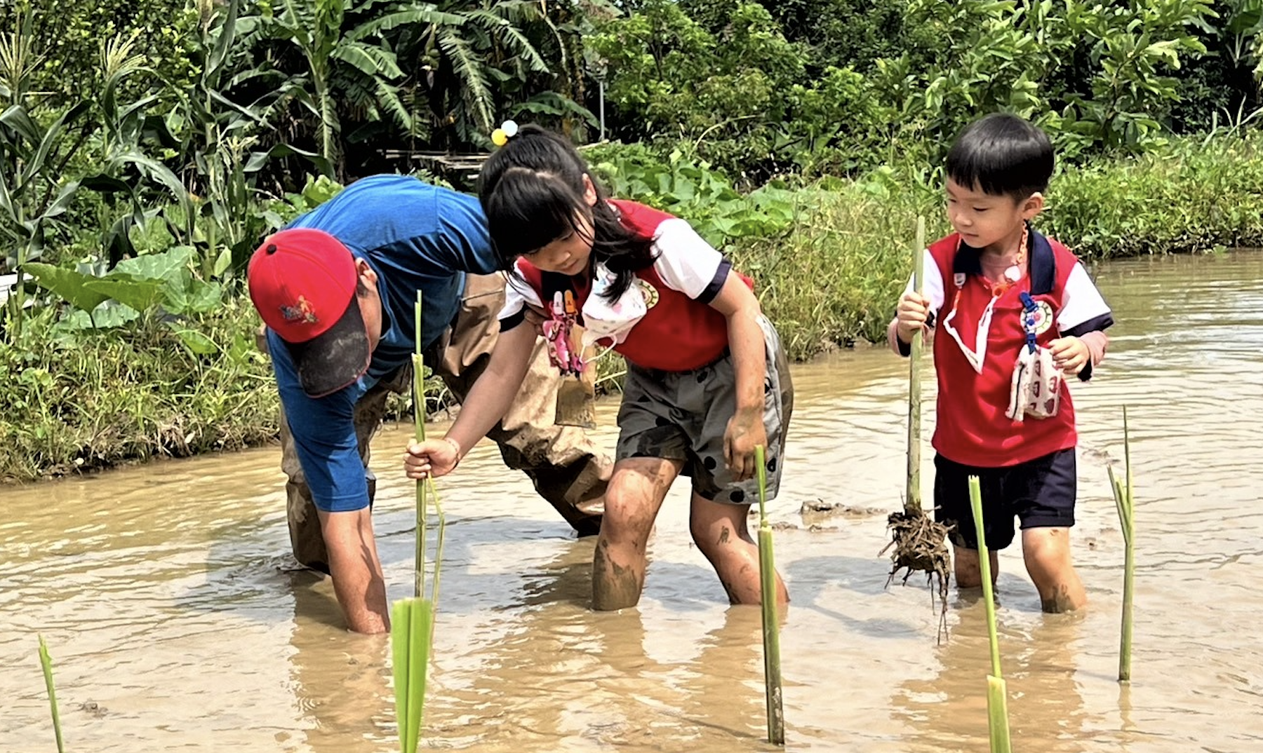 新北健康促進從幼扎根　幼兒園健促獲獎數全國第一