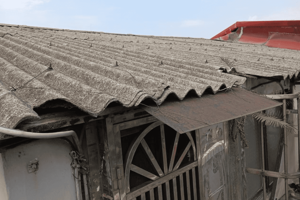 遠離毒害     新北環保局推石綿建材清除補助     速申請把握機會